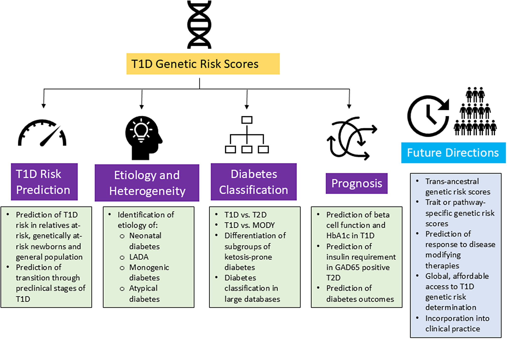 Type 1 Diabetes Genetic Risk Scores: History, Application and Future Directions