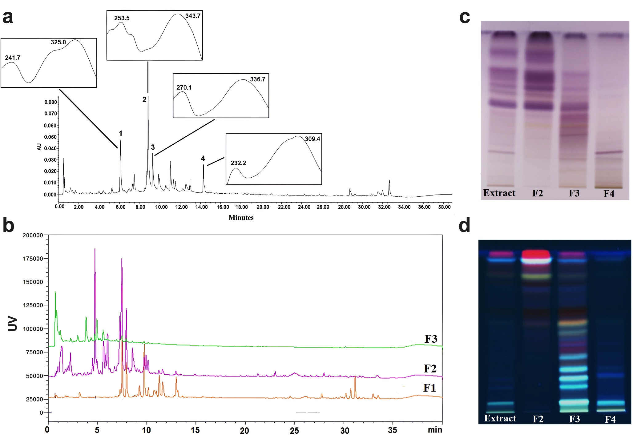 Chemical composition and biological activity of ethanolic leaf extract from Tillandsia usneoides in a murine model of acute myeloid leukemia