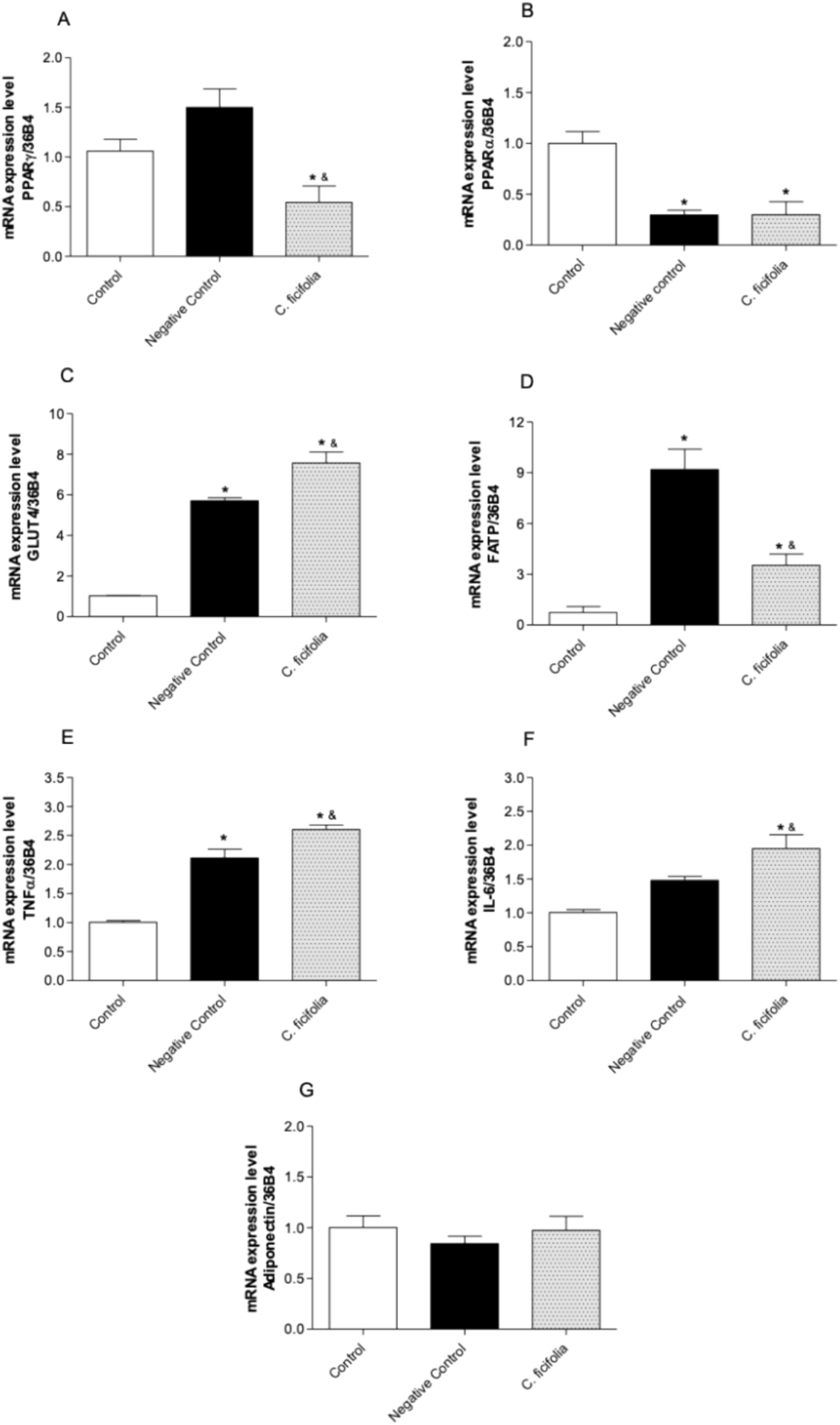 Cucurbita ficifolia regulates the secretomes of adipocytes and macrophages in co-culture, breaking meta-inflammation