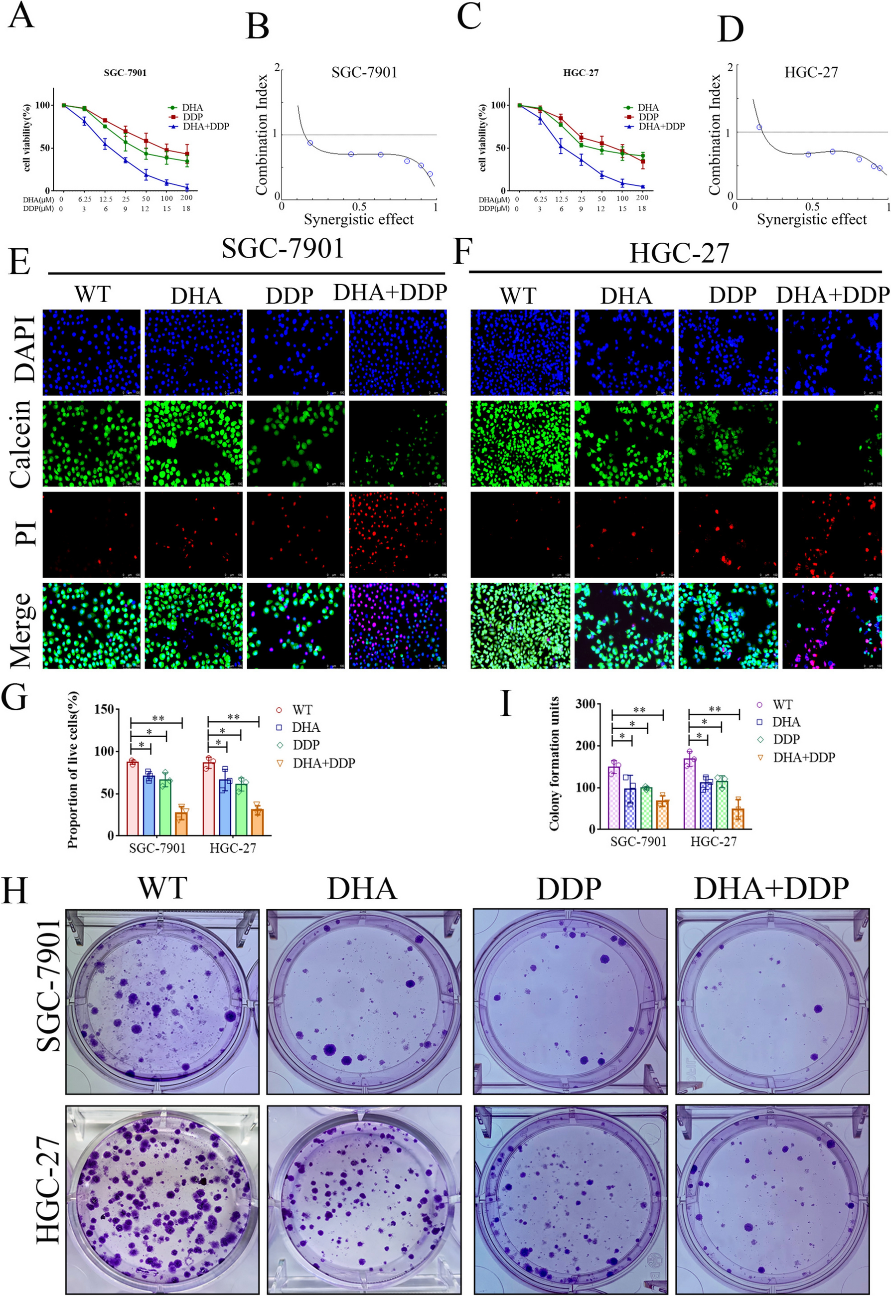 Synergistic effects of dihydroartemisinin and cisplatin on inducing ferroptosis in gastric cancer through GPX4 inhibition