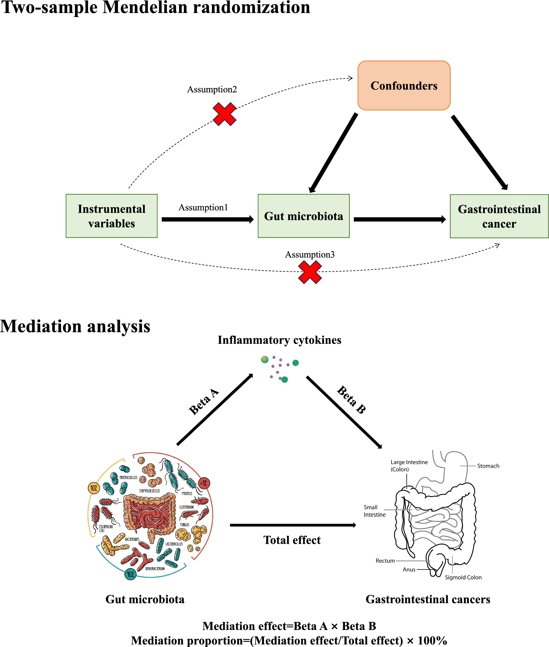 Investigating the role of inflammatory cytokines in mediating the effect of gut microbiota on gastrointestinal cancers: a mendelian randomization study