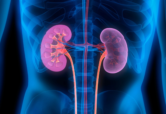 Could chemical compounds improve metabolism and reduce inflammation?