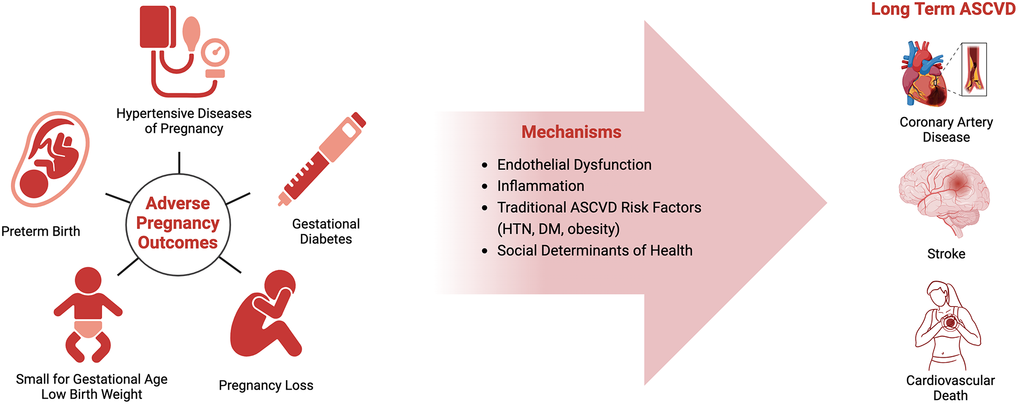 Pregnancy Complications and Long-Term Atherosclerotic Cardiovascular Disease Risk