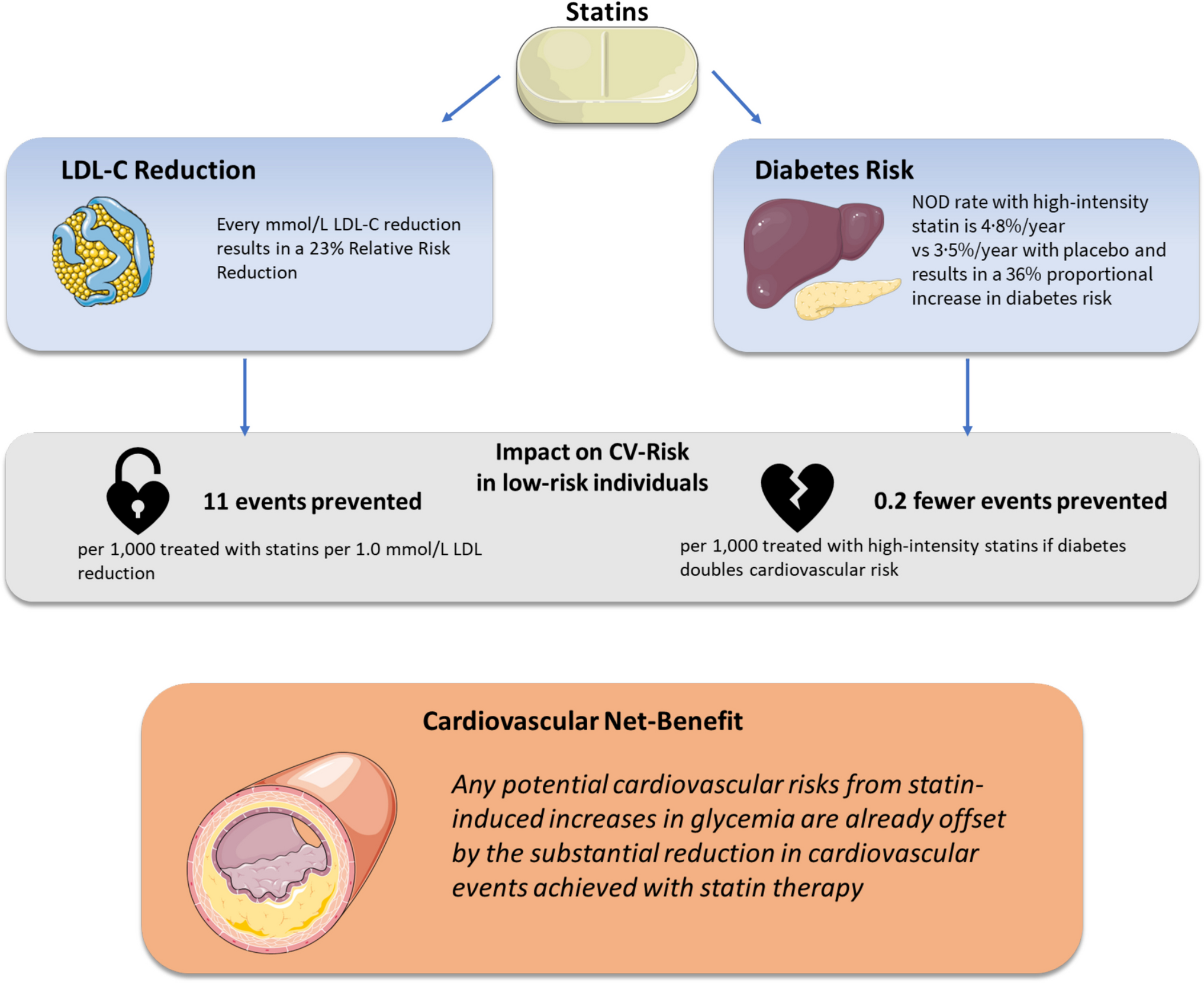 Debate: Lipid-lowering Therapies and Diabetes Development