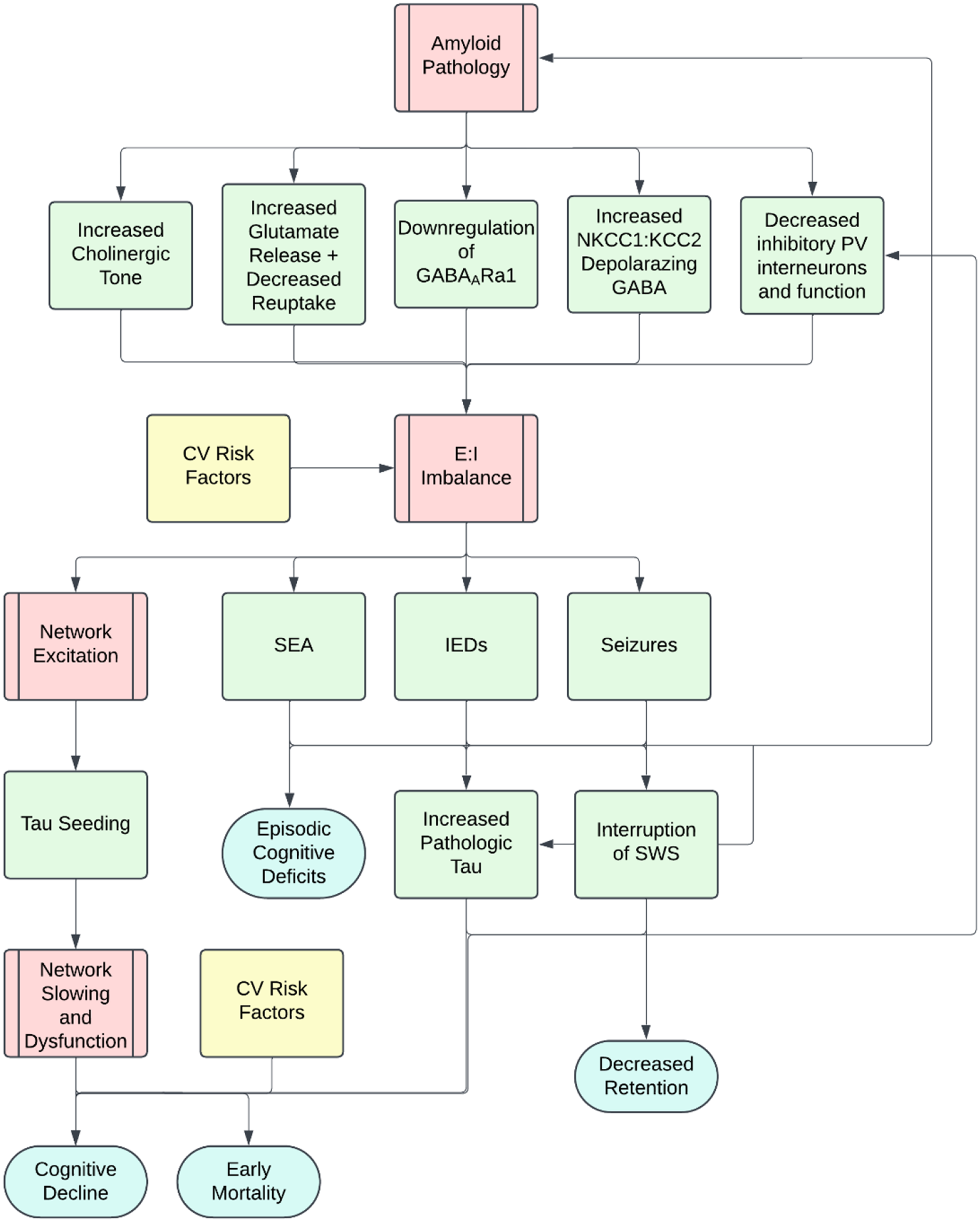 The Bidirectional Relationship Between Epilepsy and Alzheimer’s Disease