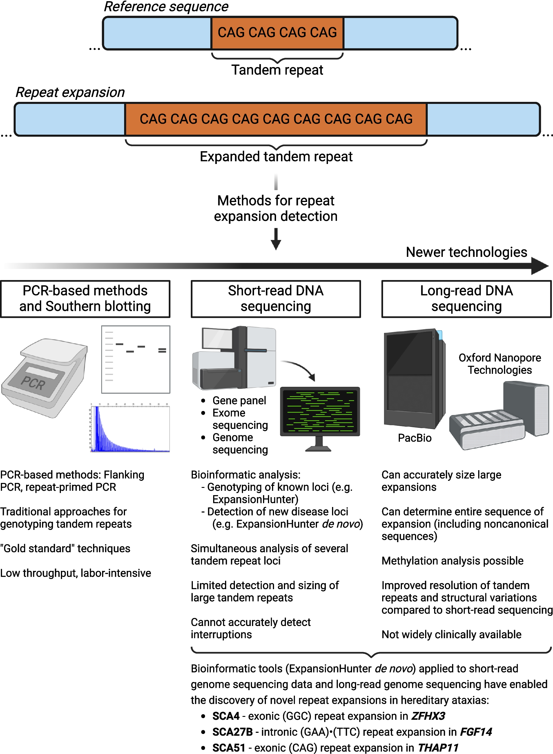 Recent Advances in the Genetics of Ataxias: An Update on Novel Autosomal Dominant Repeat Expansions