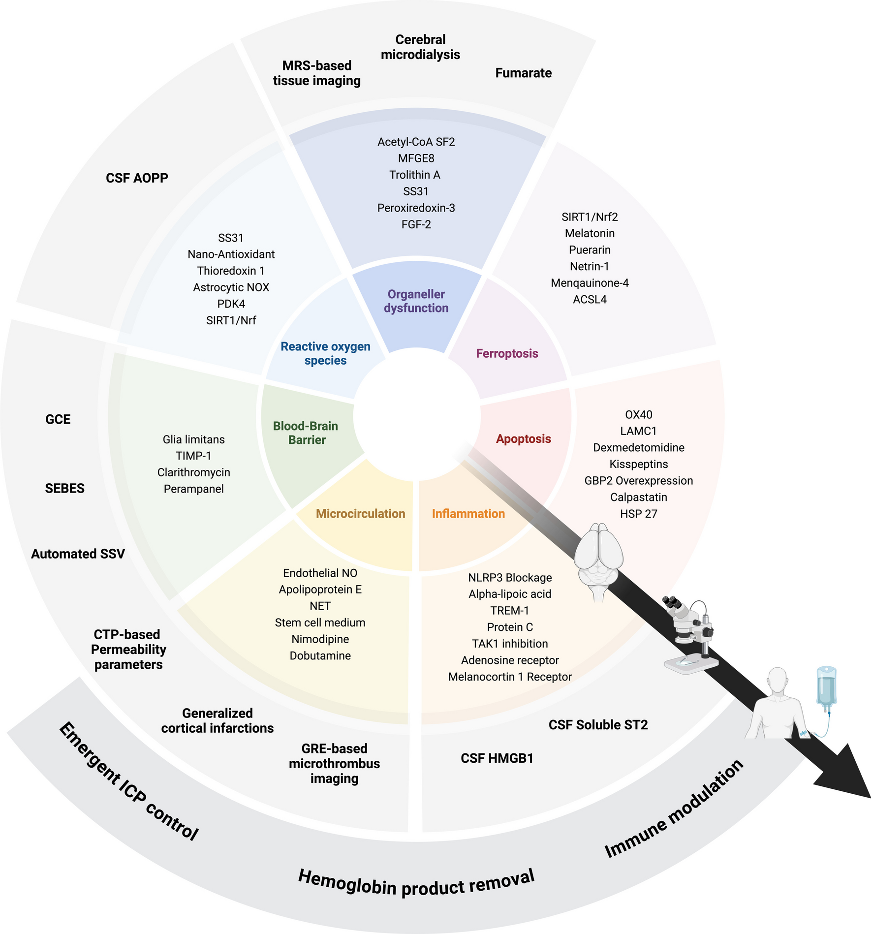 Update on Strategies to Reduce Early Brain Injury after Subarachnoid Hemorrhage