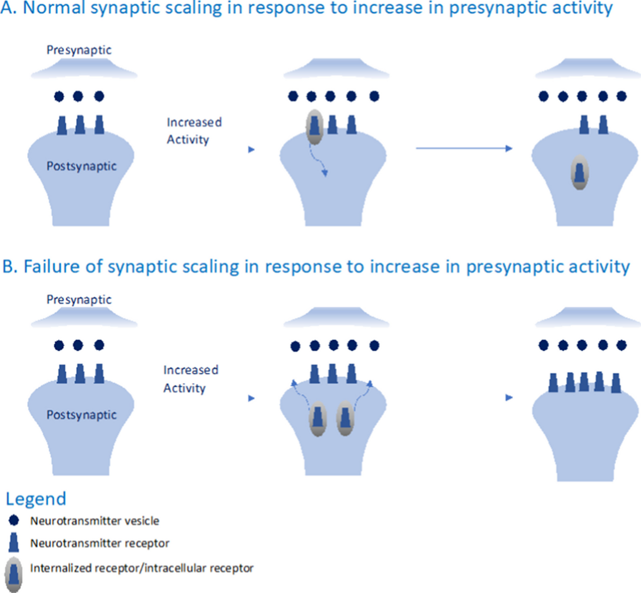 Drug Treatments for Neurodevelopmental Disorders: Targeting Signaling Pathways and Homeostasis