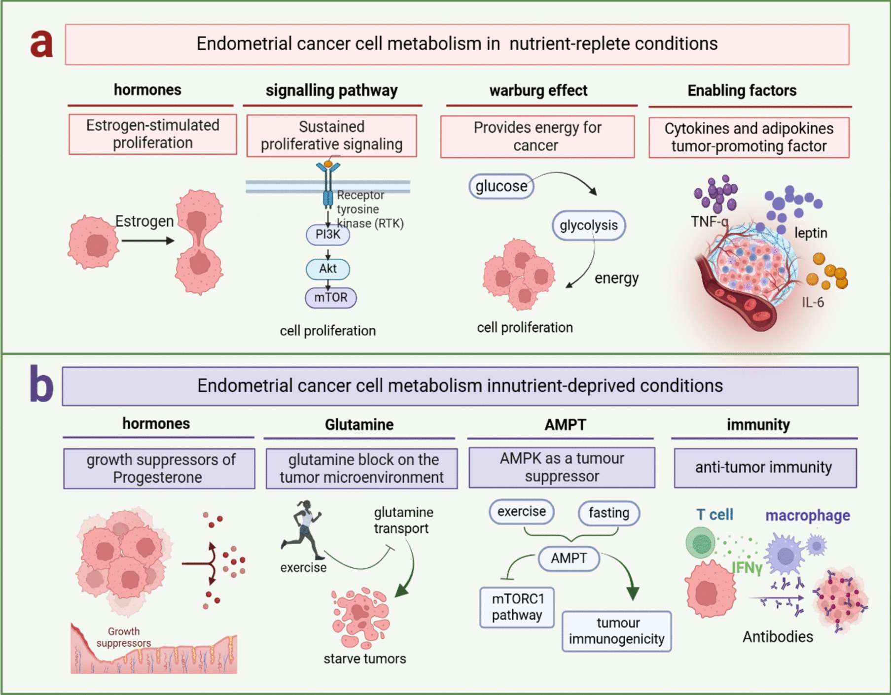 Weight Management for Fertility-Preservation Therapy in Endometrial Cancer: Opportunities and Challenges