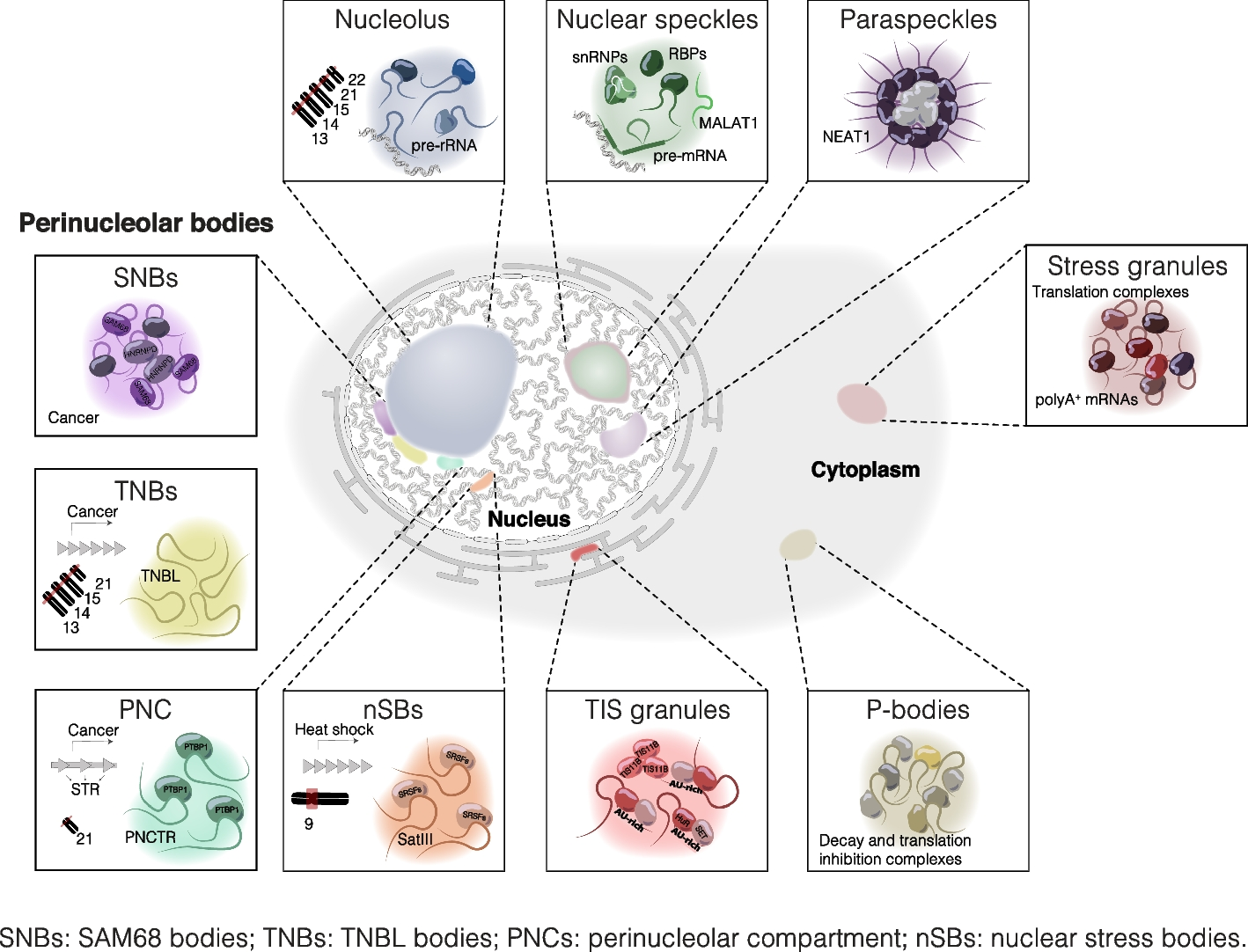 Decoding subcellular RNA localization one molecule at a time