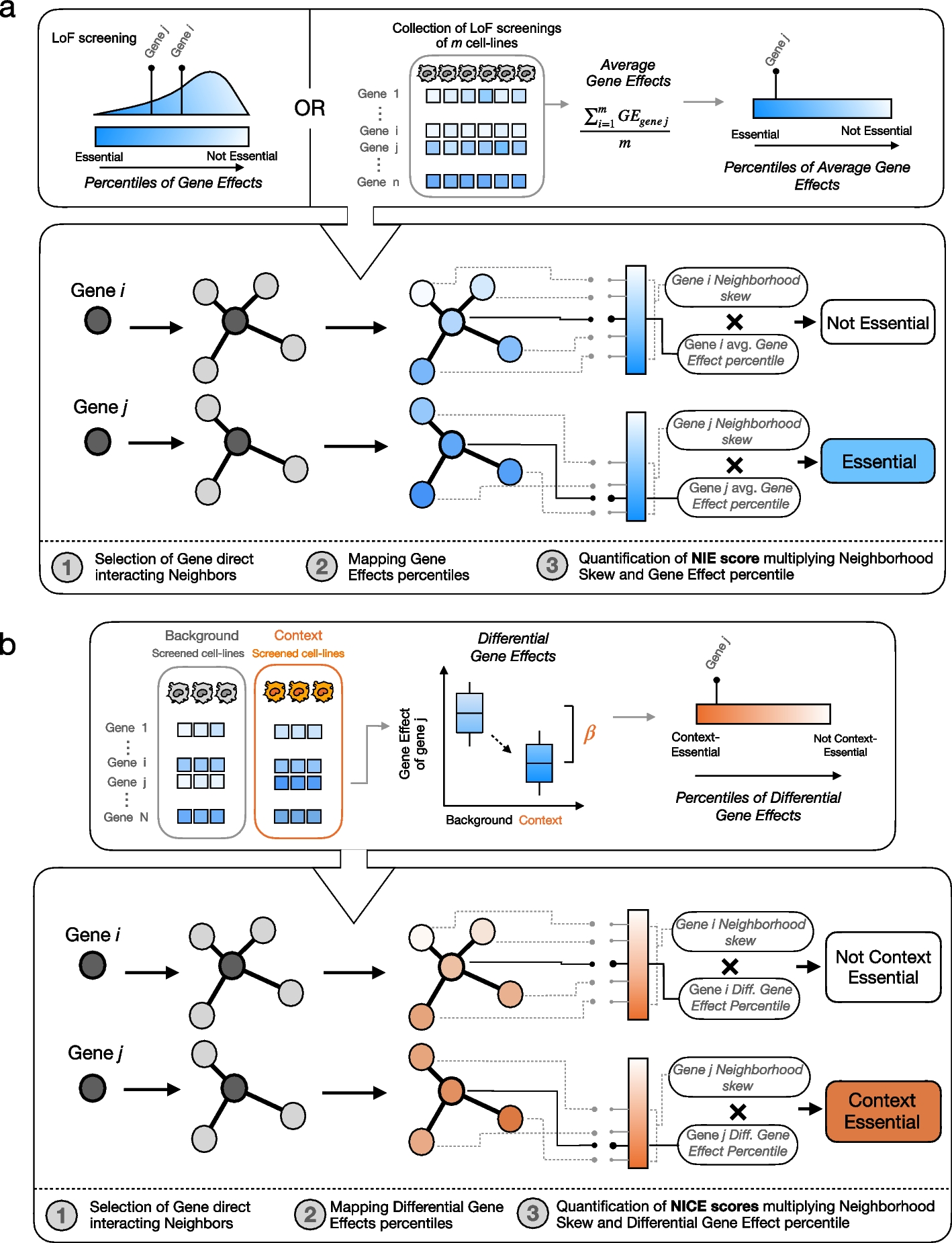 PRODE recovers essential and context-essential genes through neighborhood-informed scores