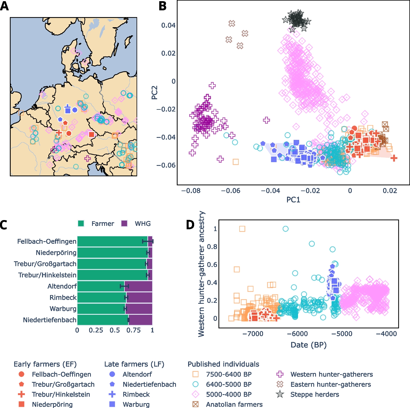 Admixture as a source for HLA variation in Neolithic European farming communities