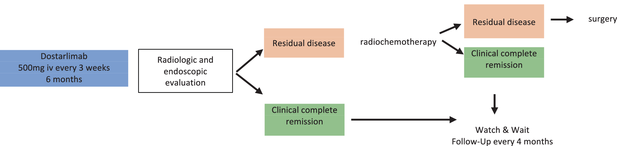 ASCO highlights: neoadjuvant immunotherapy in mismatch repair deficient colorectal cancer