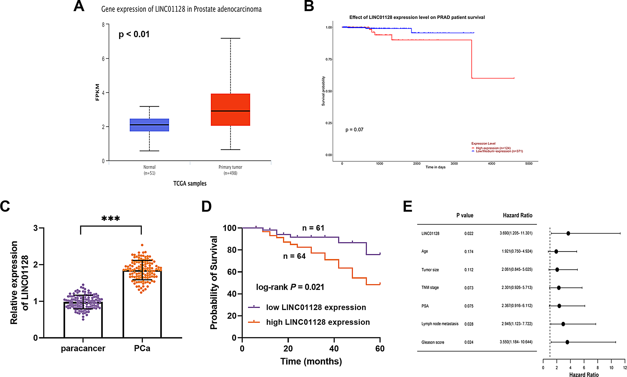 LncRNA LINC01128 promotes prostate cancer cell proliferation, metastasis, and epithelial-mesenchymal transition by modulating miR-27b-3p