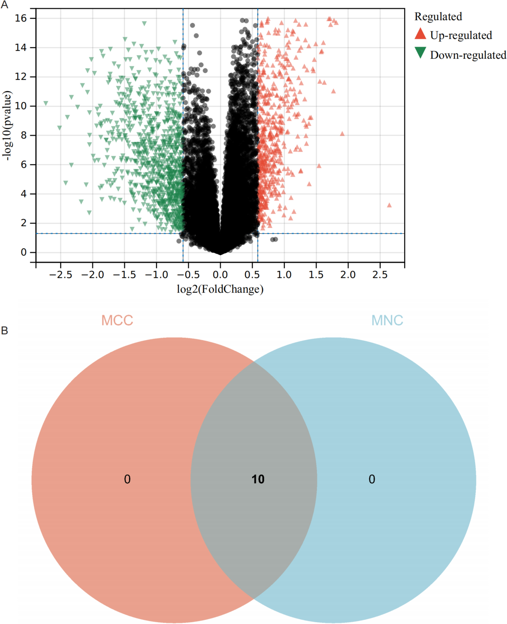 CENPF as a prognostic marker of glioma: unraveling the molecular mechanisms