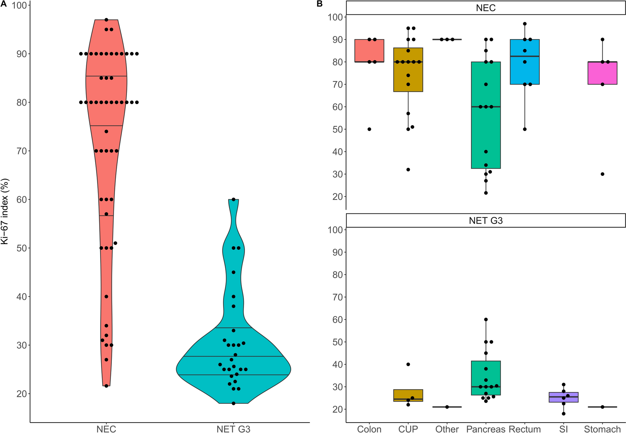 Patterns and outcomes of current antitumor therapy for high-grade neuroendocrine neoplasms: perspective of a tertiary referral center