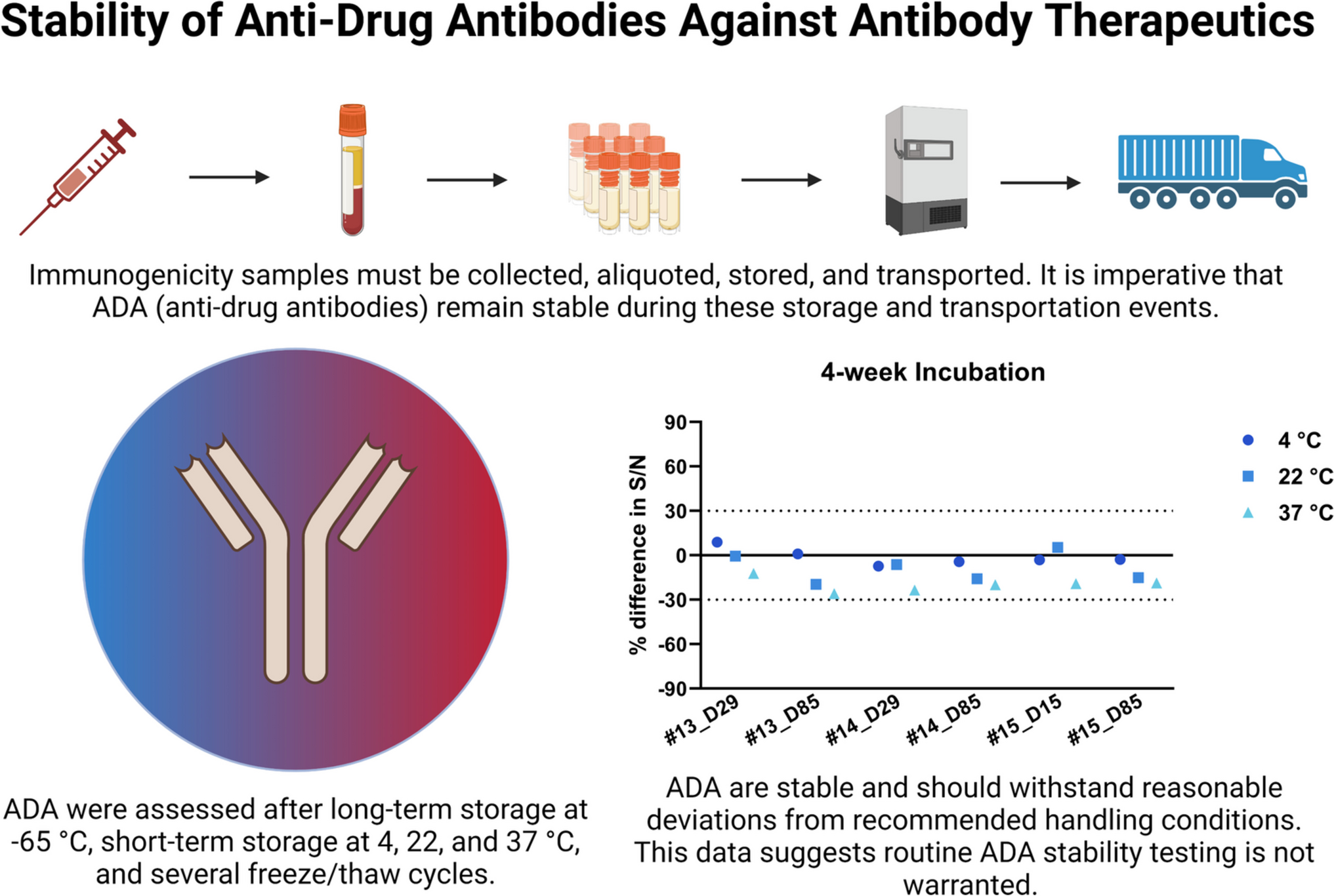 Stability of Anti-Drug Antibodies Against Antibody Therapeutics