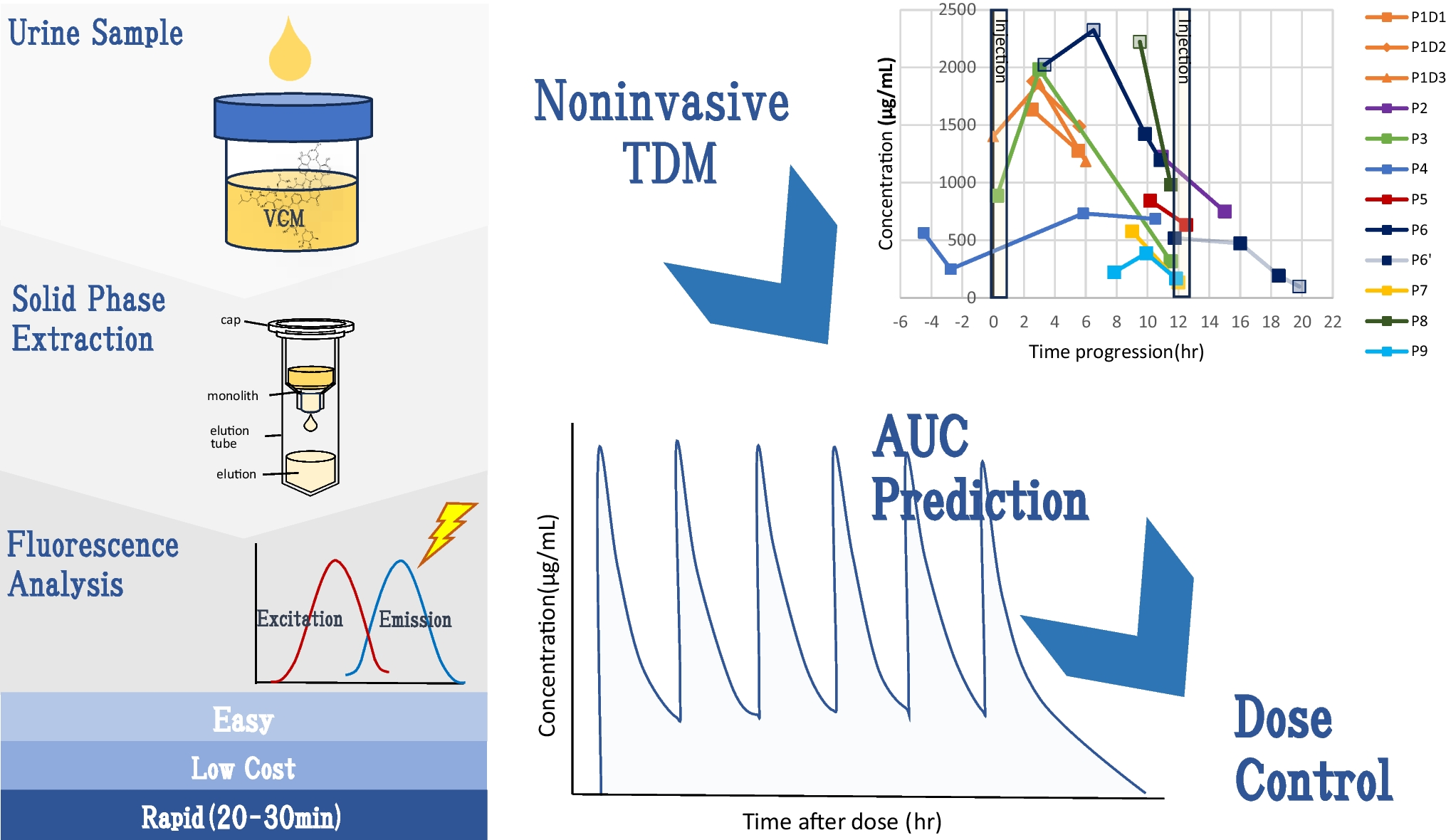 Prediction of Area Under the Curve from Urinary Vancomycin Concentrations Measured Using a Simple Method