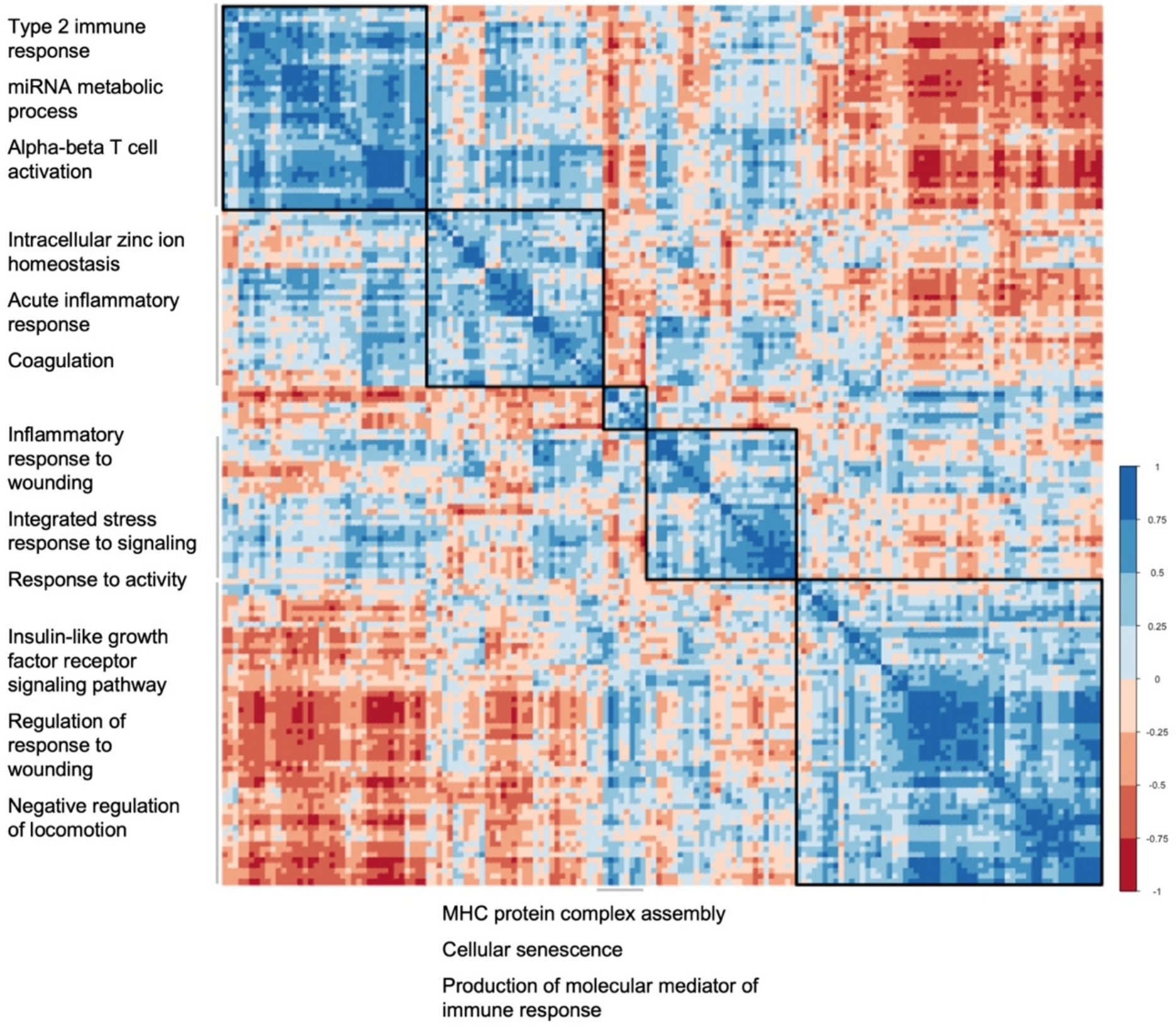 SenSkin™: a human skin-specific cellular senescence gene set
