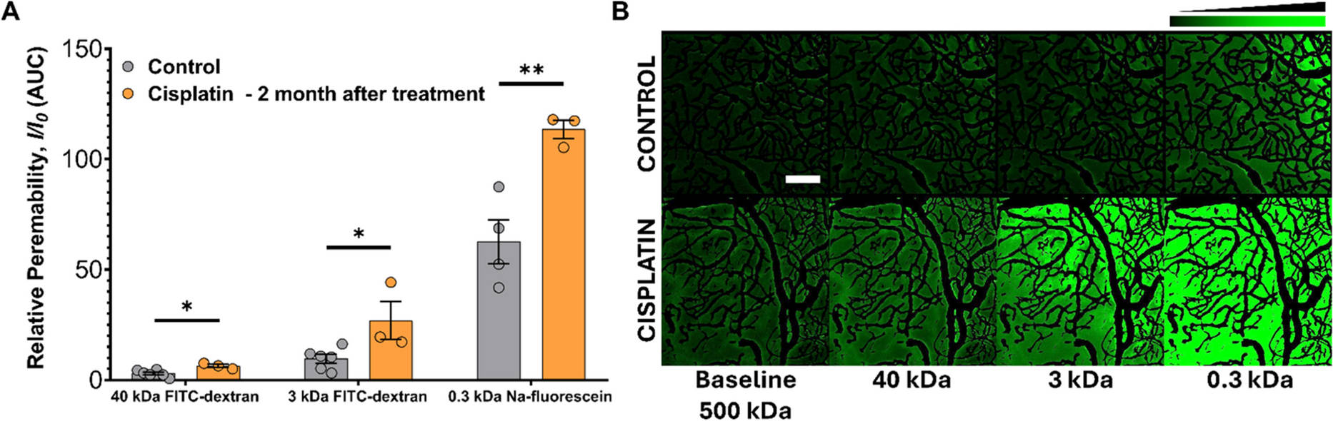 Persisting blood–brain barrier disruption following cisplatin treatment in a mouse model of chemotherapy-associated cognitive impairment