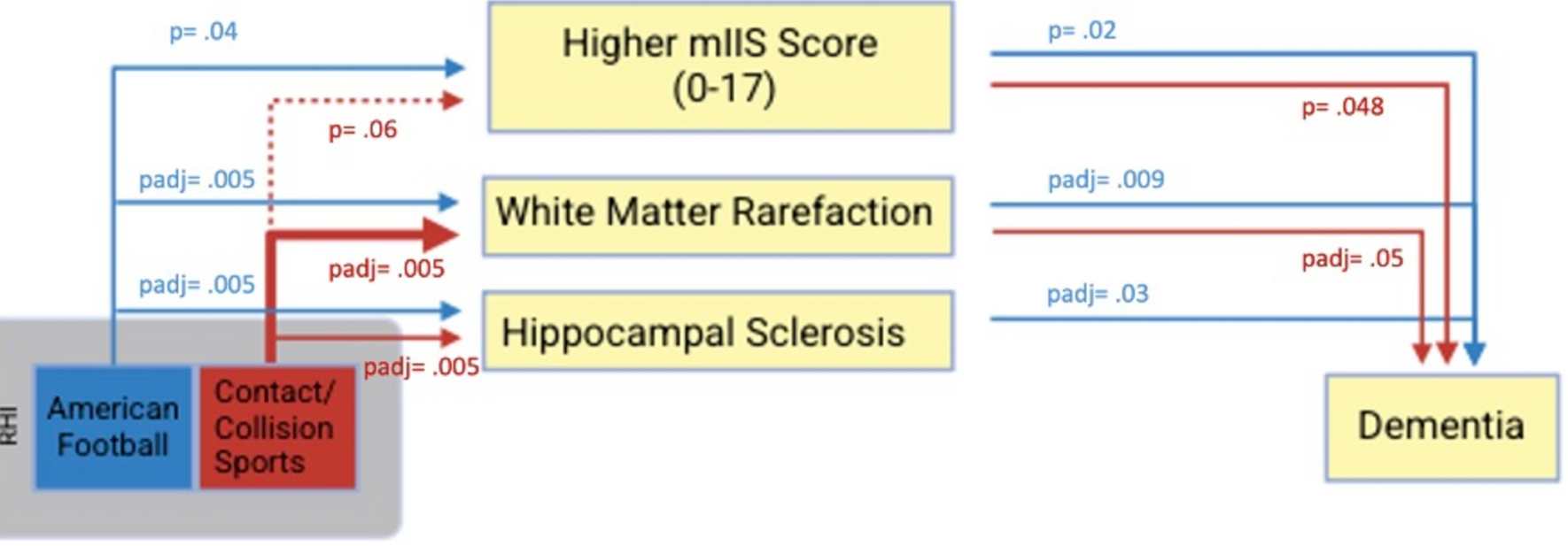 Characterizing white matter and vascular pathologies in brain donors exposed to repetitive head impacts