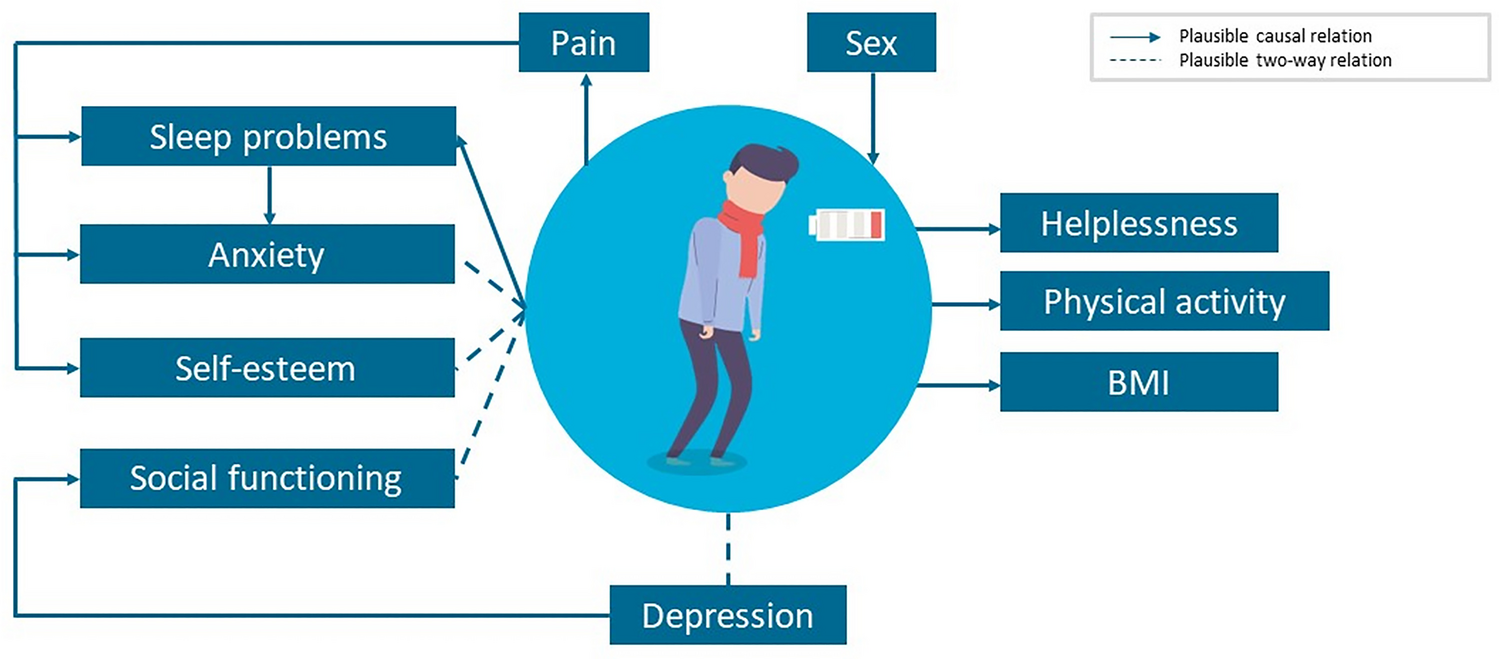 Structural equation modeling to explore putative causal factors for chronic fatigue in childhood cancer survivors: a DCCSS LATER study