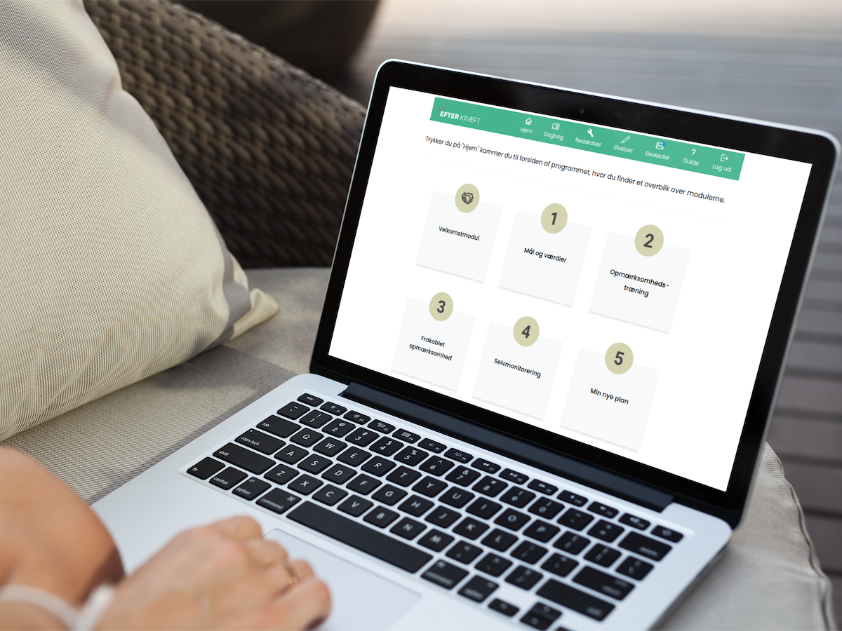 Adapting a Self-Guided eHealth Intervention Into a Tailored Therapist-Guided eHealth Intervention for Survivors of Colorectal Cancer