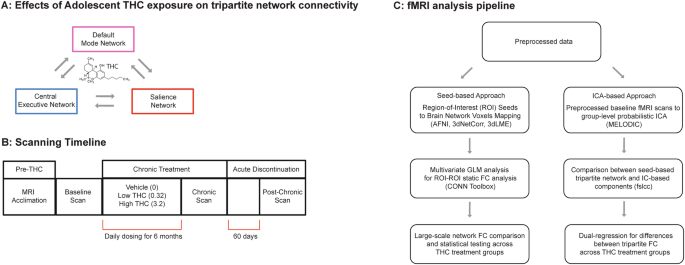 Central Executive Network drives delta-9-tetrahydrocannabinol (THC)-induced nonlinear changes in large-scale functional connectivity in adolescent nonhuman primates
