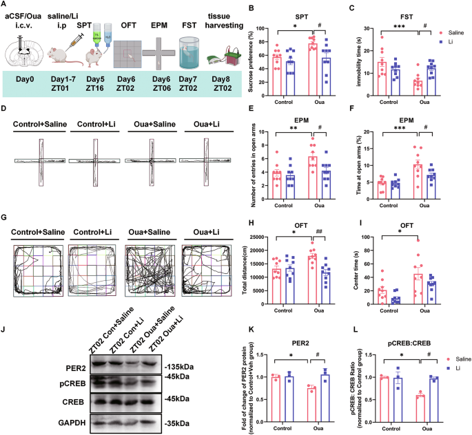 The crosstalk between CREB and PER2 mediates the transition between mania- and depression-like behavior