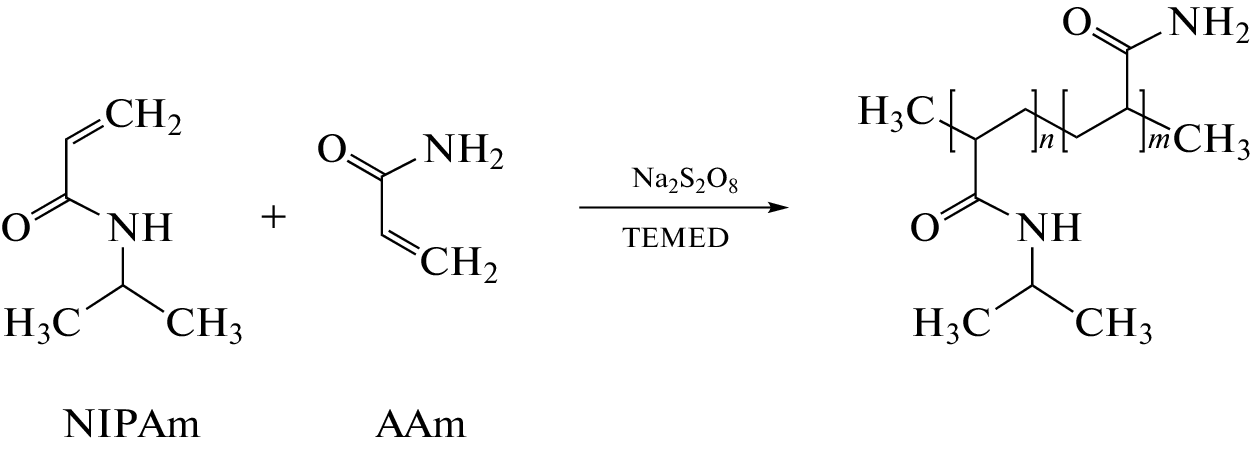 Fabrication and Thermoresponsive Properties of Thin Copolymer Films of -Isopropylacrylamide and Acrylamide