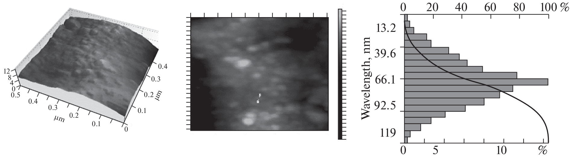 Synthesis and Antimicrobial Properties of Chitosan Nanoascorbate of