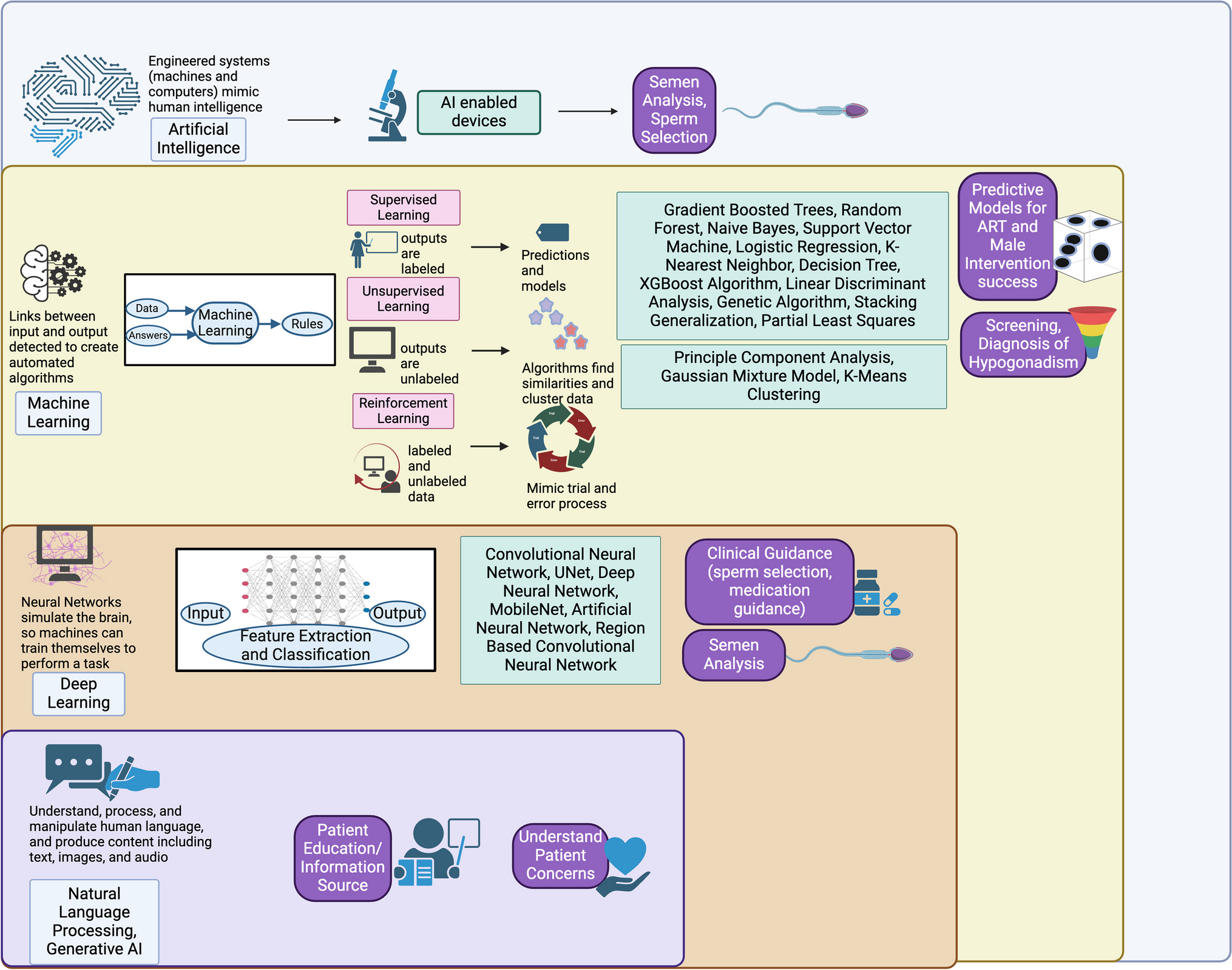 Artificial Intelligence for Clinical Management of Male Infertility, a Scoping Review