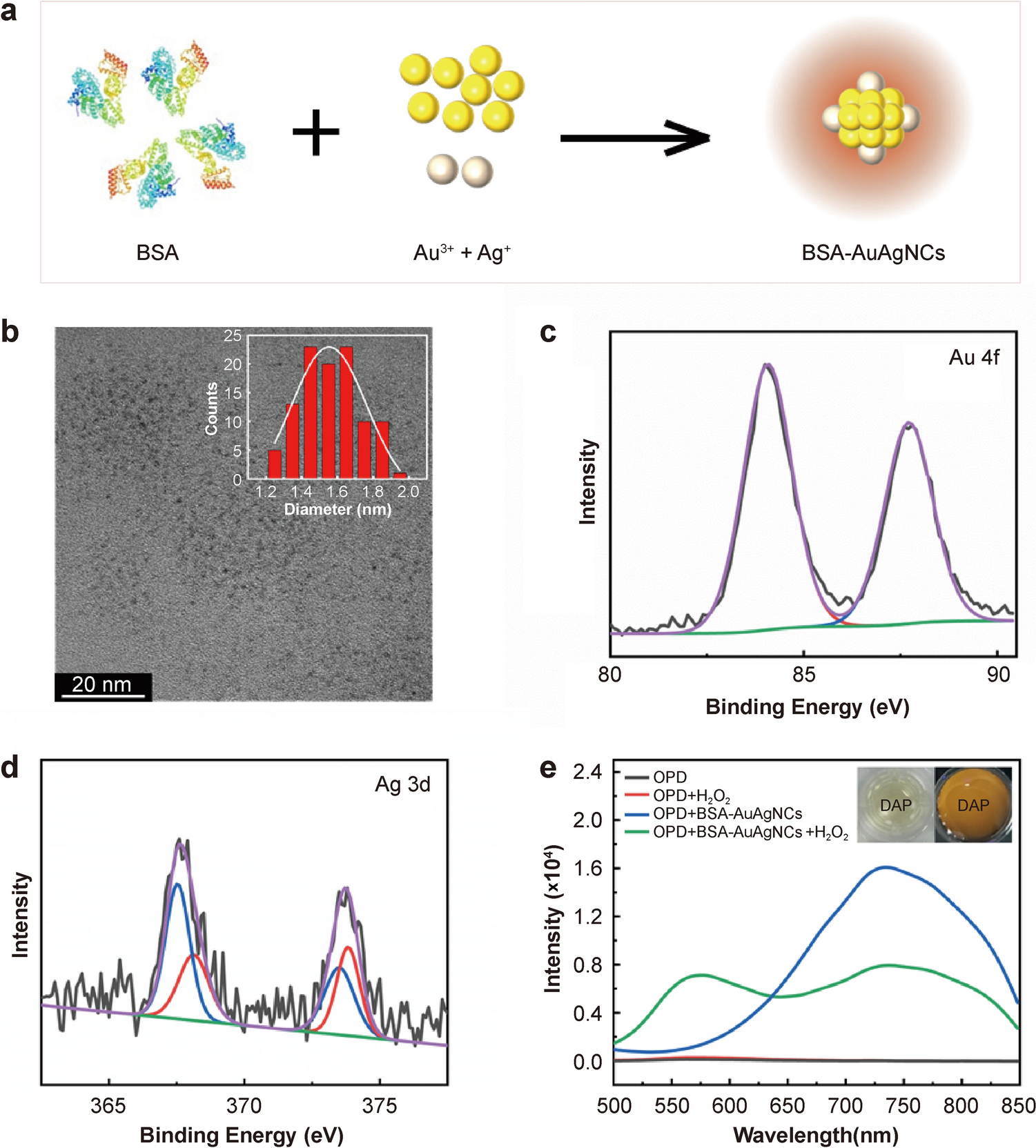Multichannel Sensor Arrays Based on Surface-Engineered Fluorescent Metal Clusterzymes for Differential Sensing of Cancer Cells