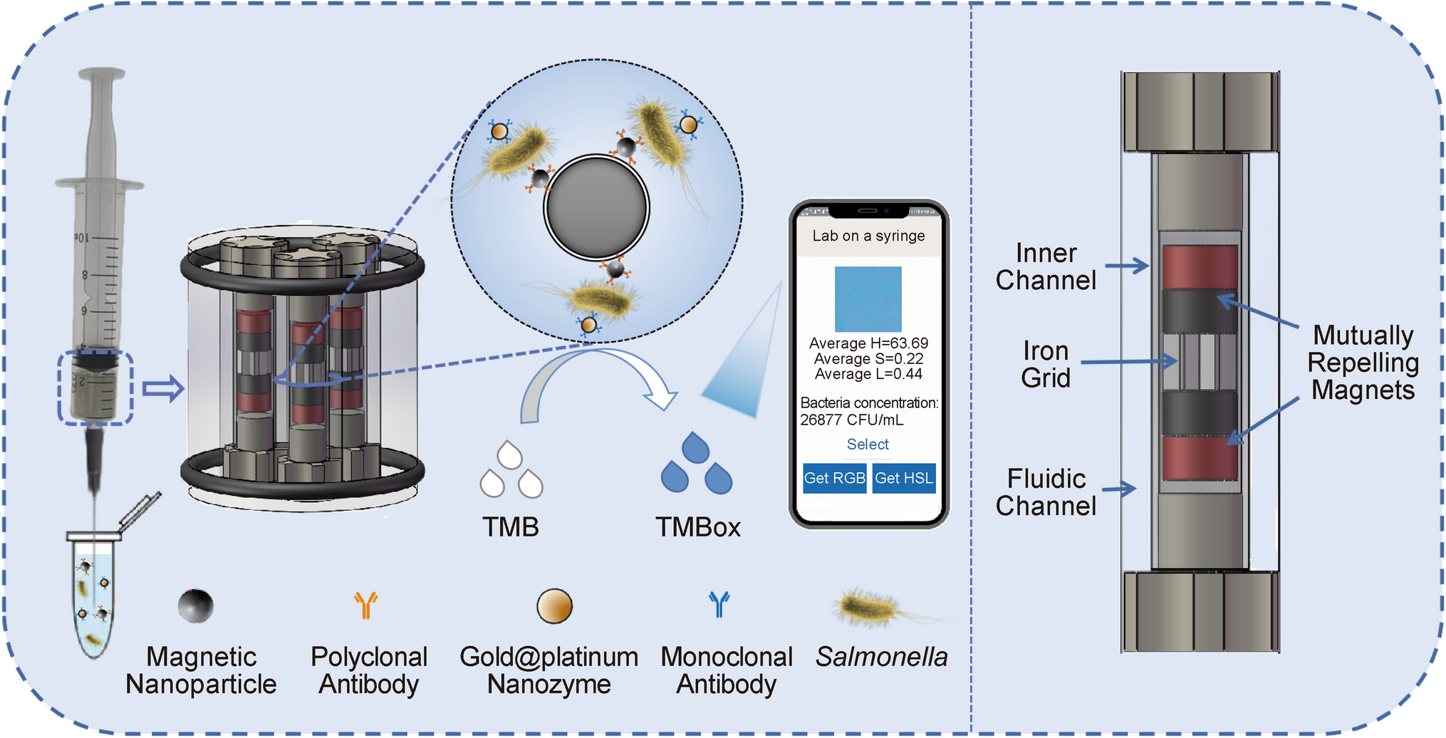 Lab-on-a-Syringe Biosensing of  using Magnetic Grid Separation with Nanozyme Signal Amplification