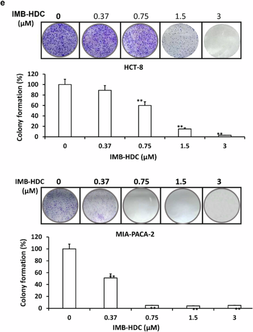Author Correction: The novel sophoridine derivate IMB-HDC induced lessened phosphorylation of STAT5a at 694 and 780 and promoted DNA breakage and cell apoptosis via blocking STAT5a nuclear translocation