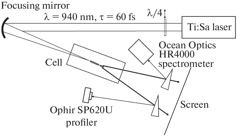 Femtosecond Laser Pulse Spectrum Transformation during Propagation in the Atmosphere