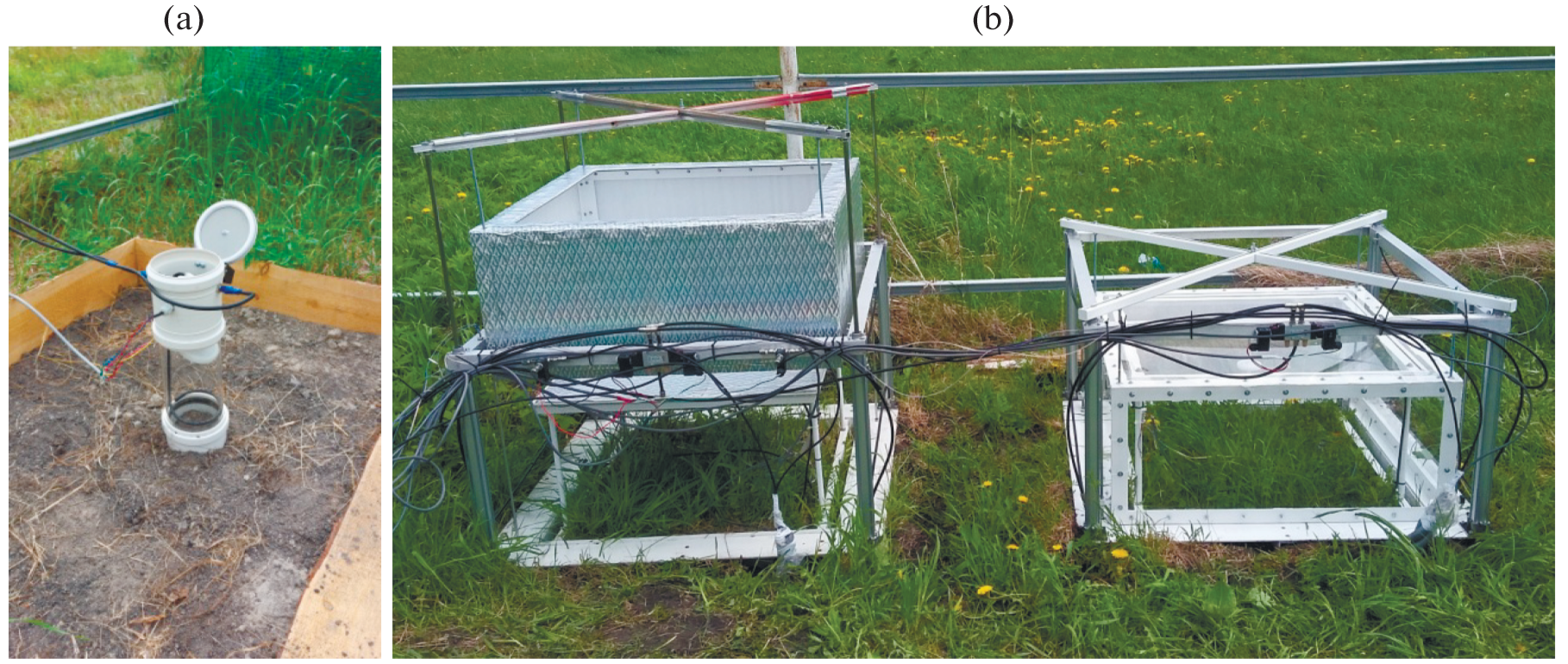 Emission and Sink of Greenhouse Gases in the Grassland Ecosystem of Southern Taiga of Western Siberia: Estimates of the Contribution of Soil Flux Component from Observations of 2023