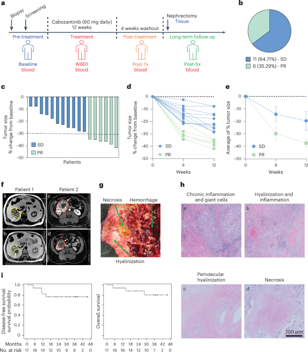 Neoadjuvant cabozantinib for locally advanced nonmetastatic clear cell renal cell carcinoma: a phase 2 trial