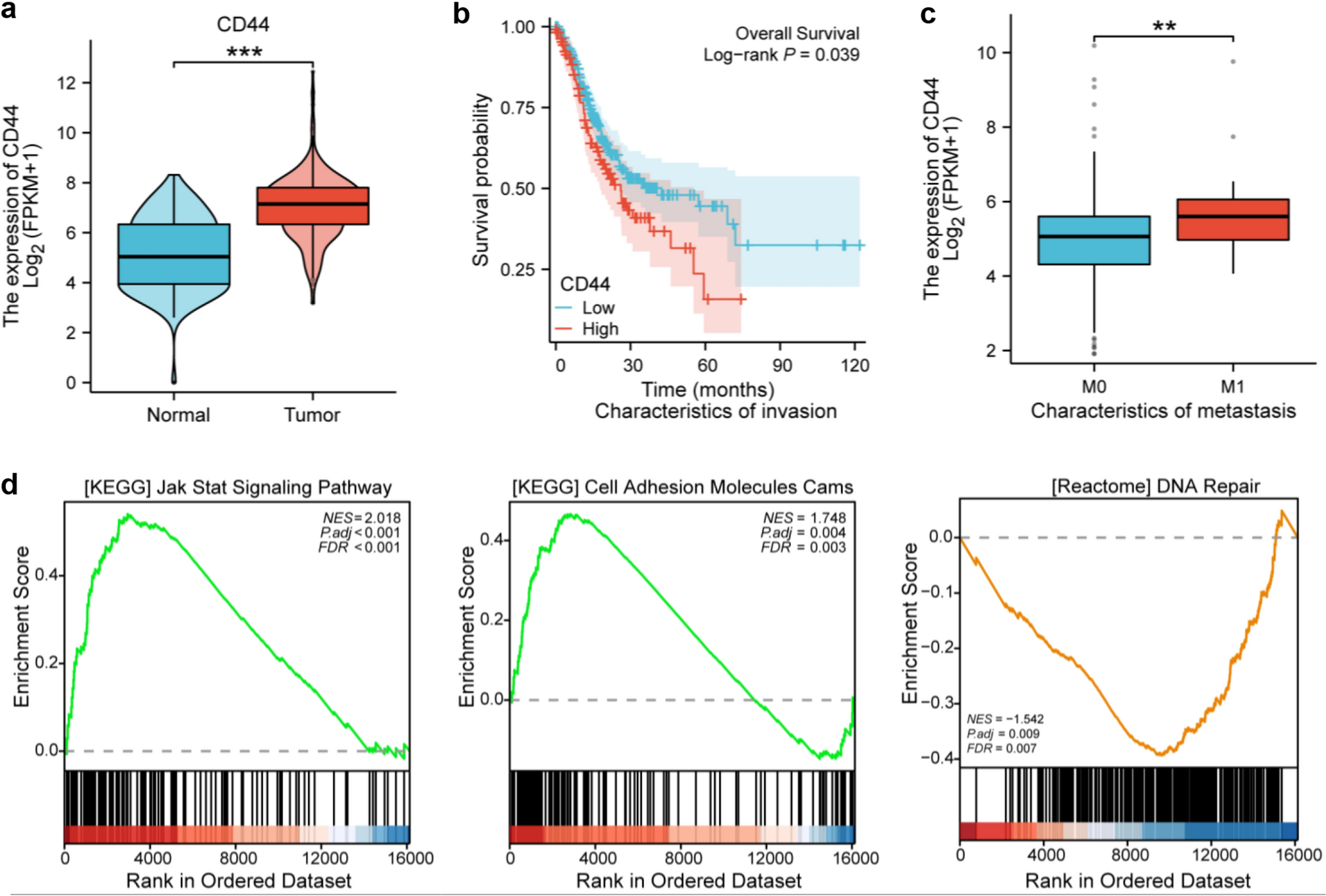 CD44v6-mediated regulation of gastric cancer stem cells: a potential therapeutic target