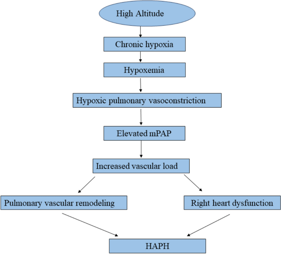 High-altitude pulmonary hypertension: a comprehensive review of mechanisms and management