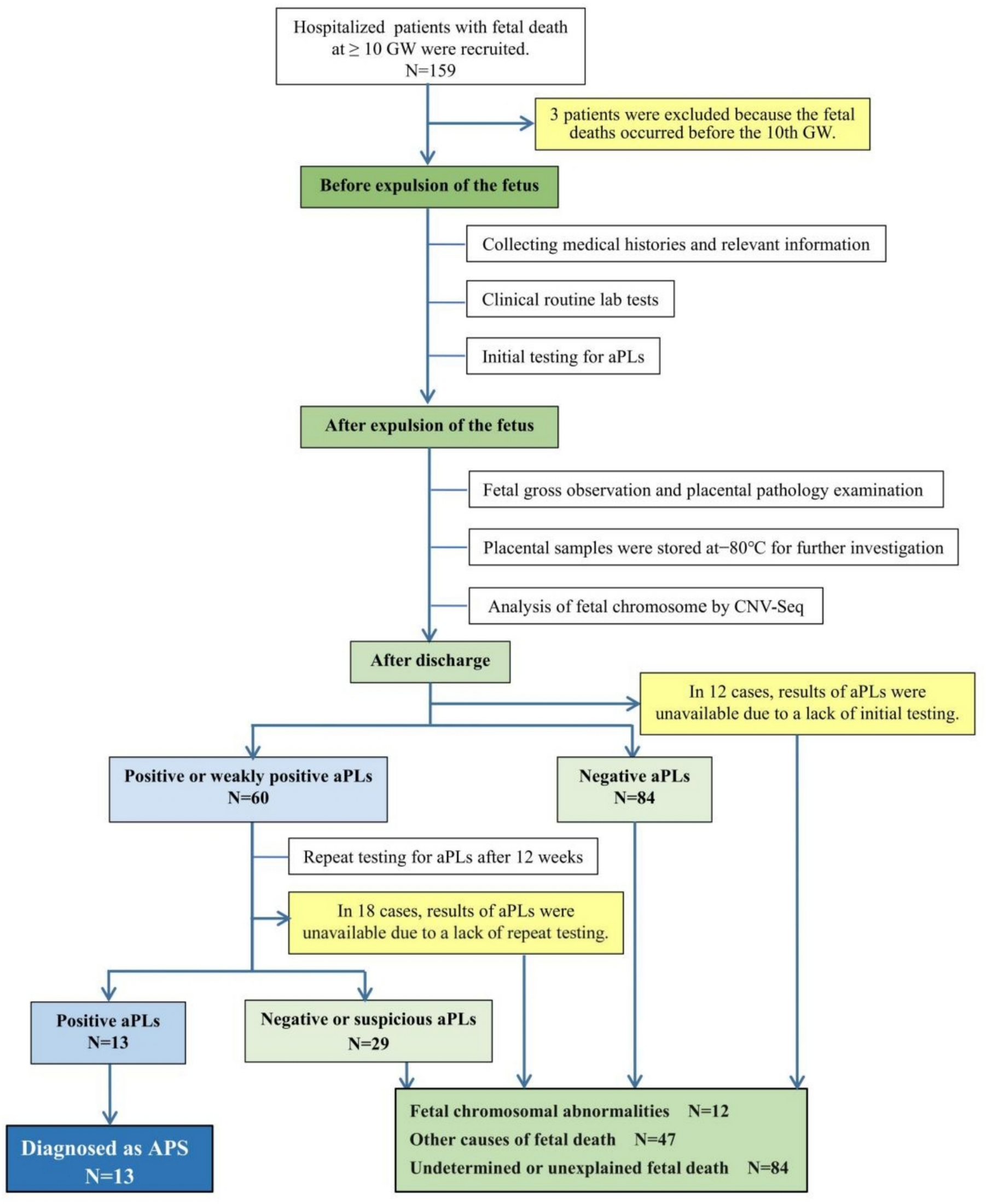 Antiphospholipid syndrome in patients with fetal death: a prospective longitudinal cohort study