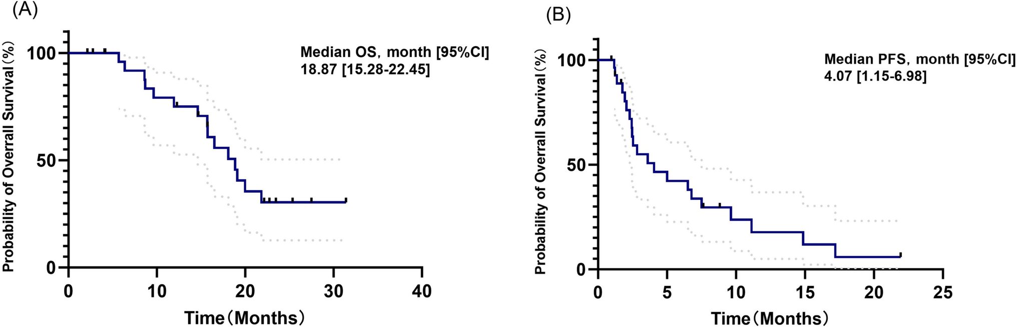 Efficacy and safety analysis of atezolizumab continuation beyond progression in extensive-stage small cell lung cancer