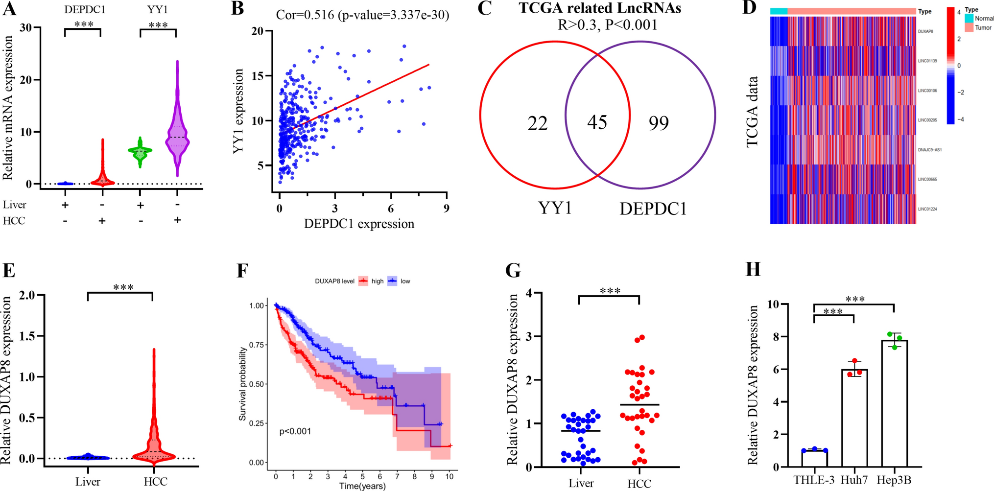 YY1-mediated DUXAP8 facilitates HCC progression via modulating DEPDC1 expression