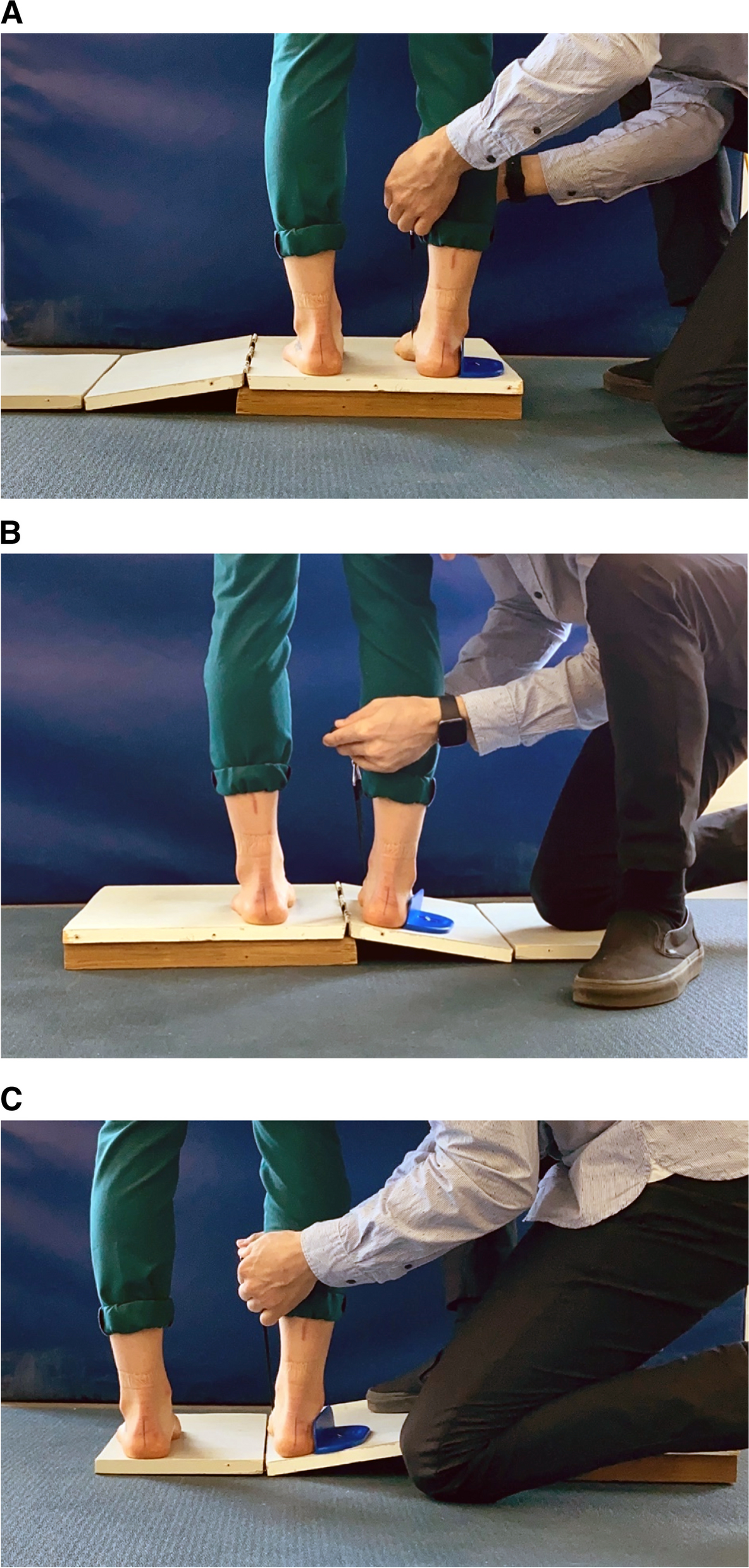 Supination resistance variations in foot and ankle musculoskeletal disorders: implications for diagnosis and customised interventions with wedged insoles
