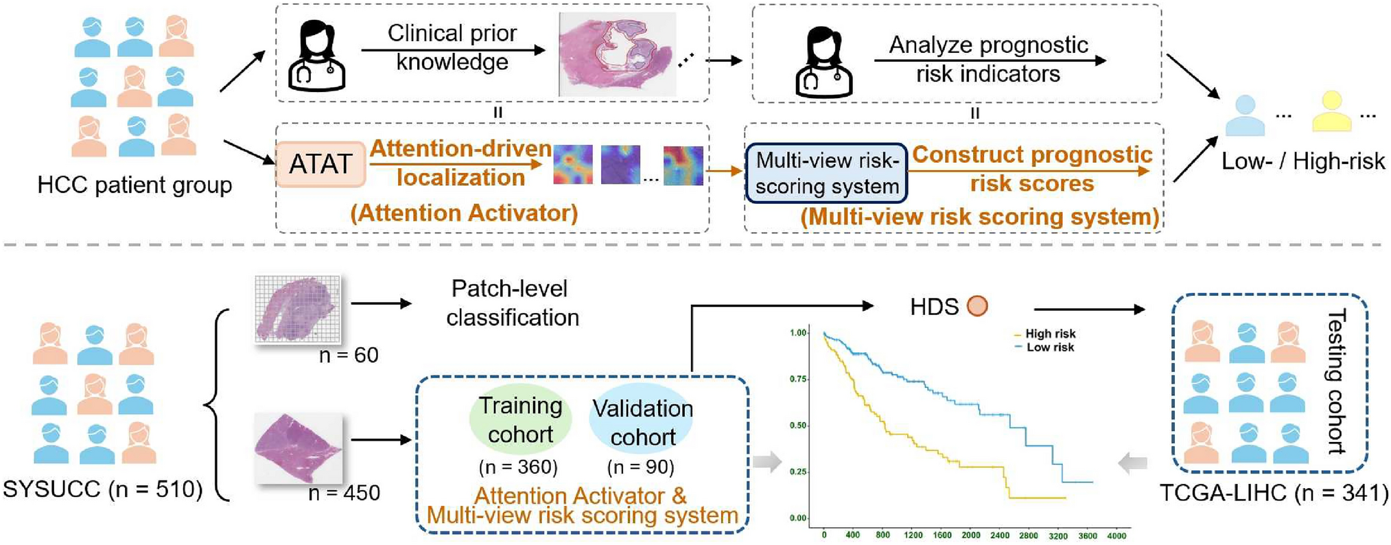 Explainable attention-enhanced heuristic paradigm for multi-view prognostic risk score development in hepatocellular carcinoma