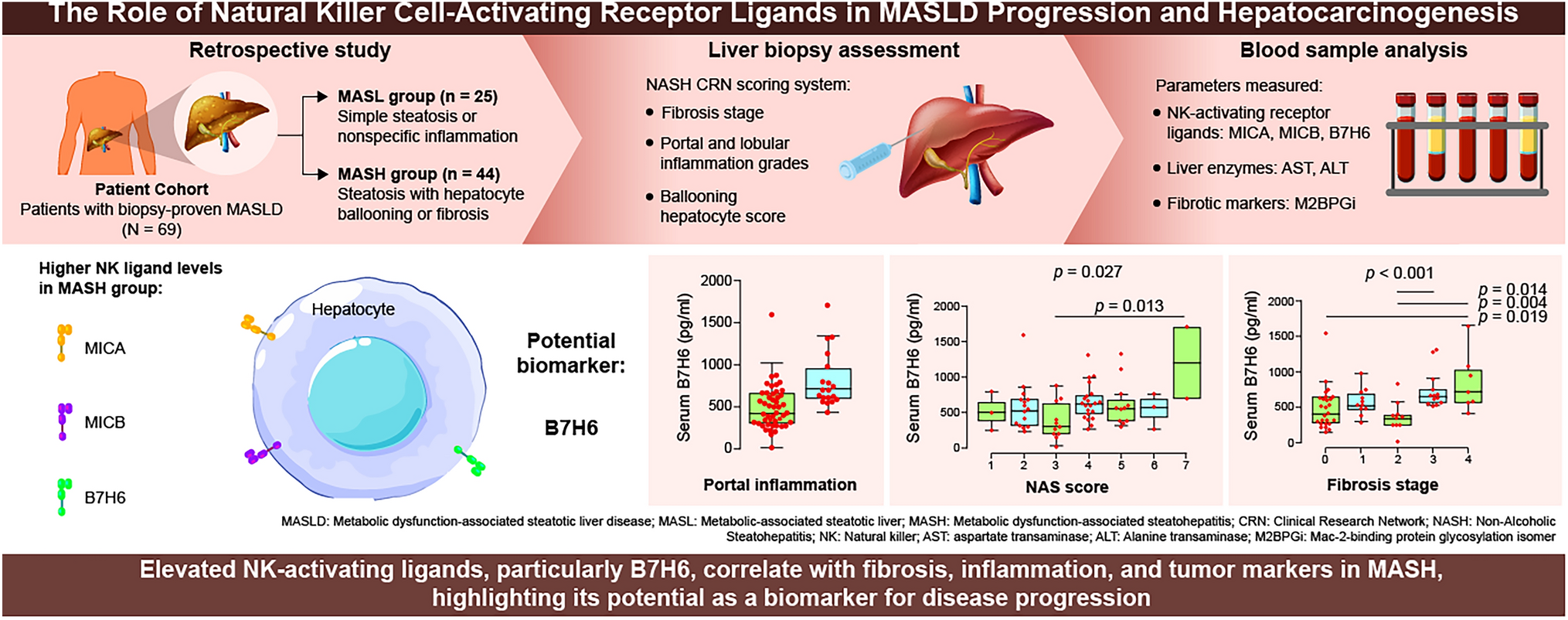 Efficacy of measuring natural killer-activating receptor ligands to predict the pathogenesis of metabolic dysfunction-associated steatotic liver disease