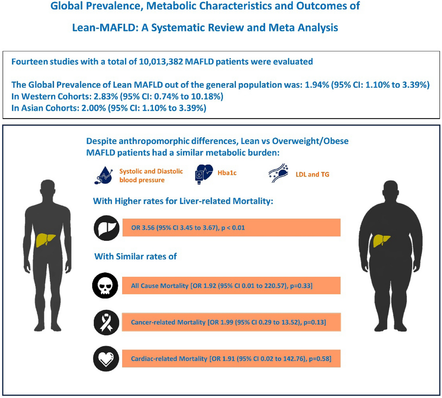 Global prevalence, metabolic characteristics, and outcomes of lean-MAFLD: a systematic review and meta-analysis