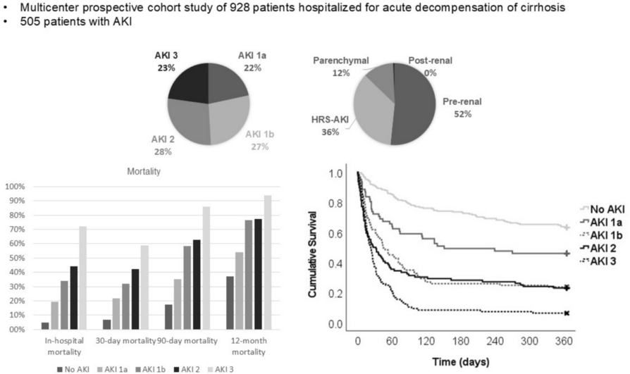 Acute kidney injury stage 1a increases mortality of patients with cirrhosis: a prospective multicenter cohort study