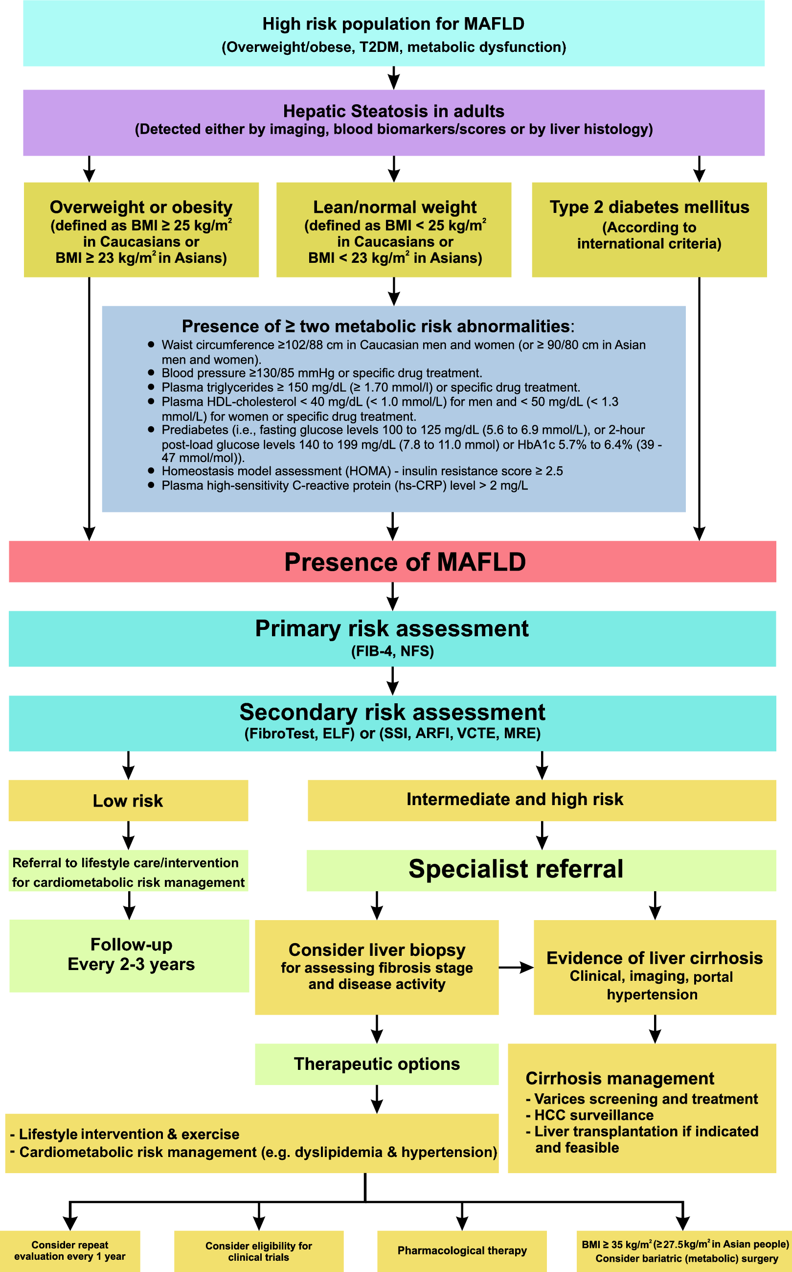 The Asian Pacific association for the study of the liver clinical practice guidelines for the diagnosis and management of metabolic dysfunction-associated fatty liver disease