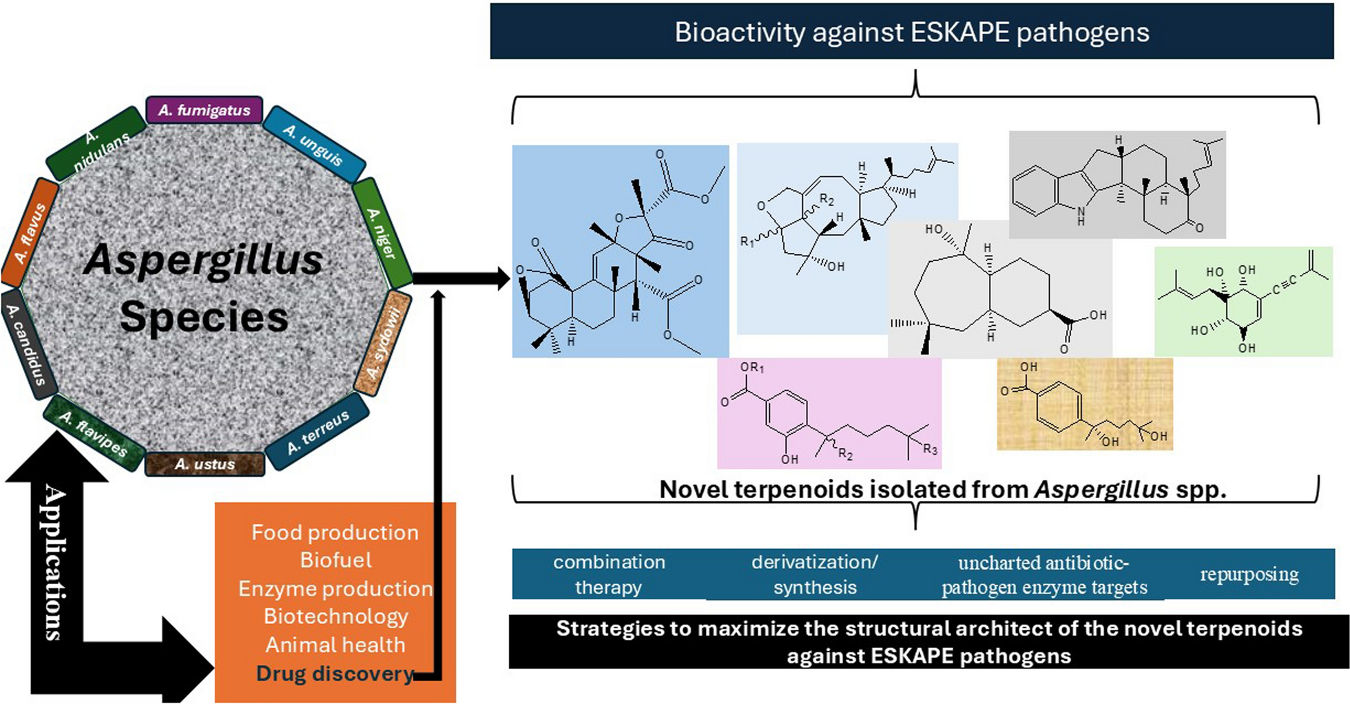 Newly isolated terpenoids (covering 2019–2024) from  species and their potential for the discovery of novel antimicrobials